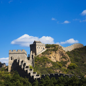 欧美激情舔逼另类
